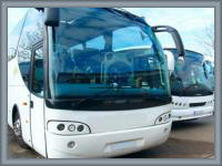 Alquiler de buses para transporte de turismo traslados en micros para personal de fabricas empresas.